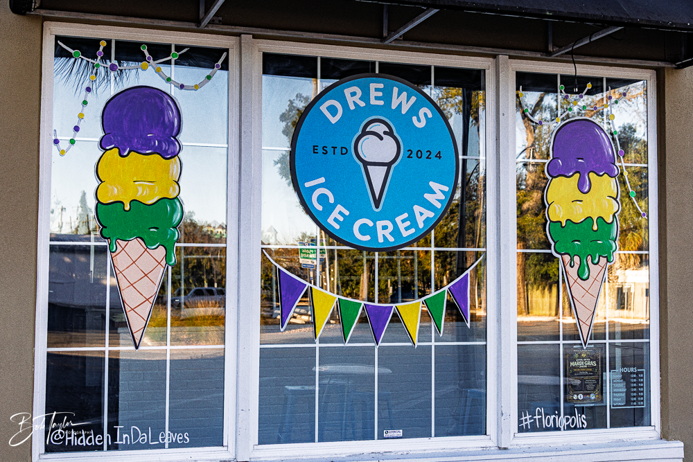 20260115-Mardi Gras Windows -5.png