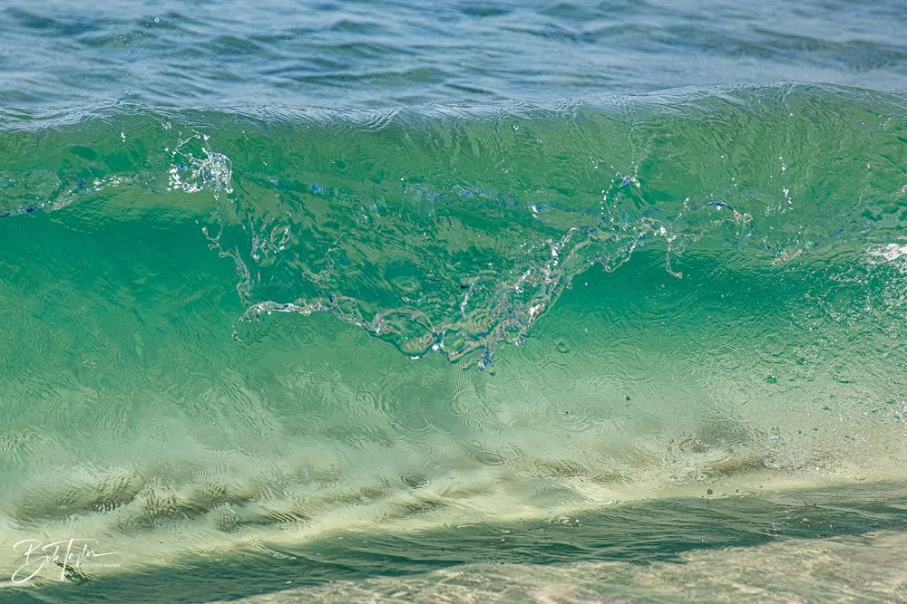 20251116-SASP One Day -13.jpg