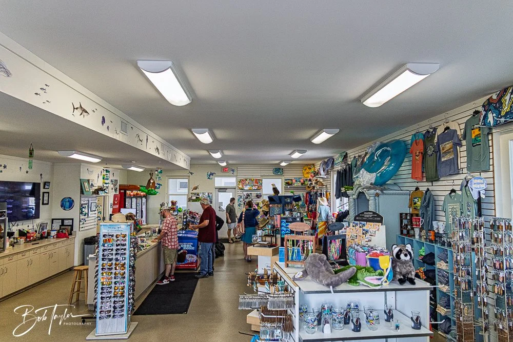 20260214-SASP Story -11.jpg