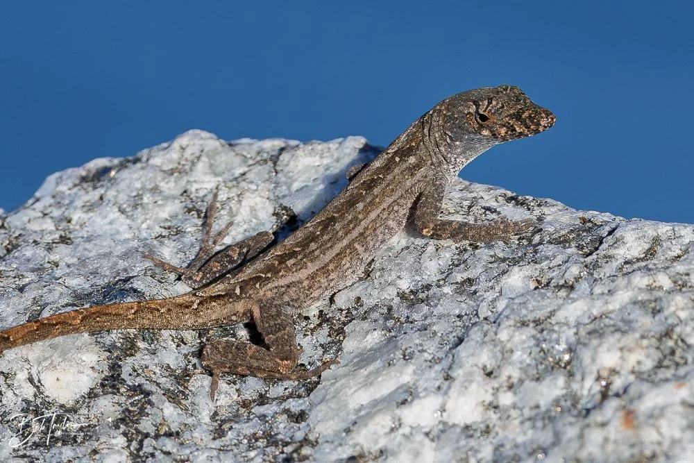 20251115-SASP Final -4.jpg