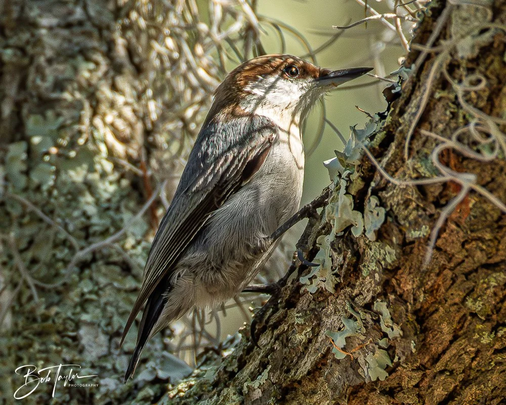 20260212-SASP -10.jpg