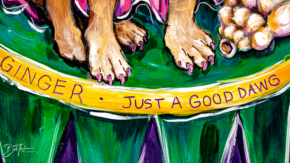 20260115-Mardi Gras Windows -28.png