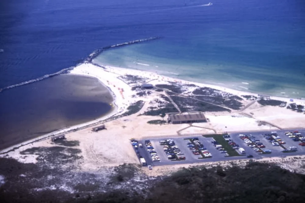 20260214-SASP Google Pics -1.jpg