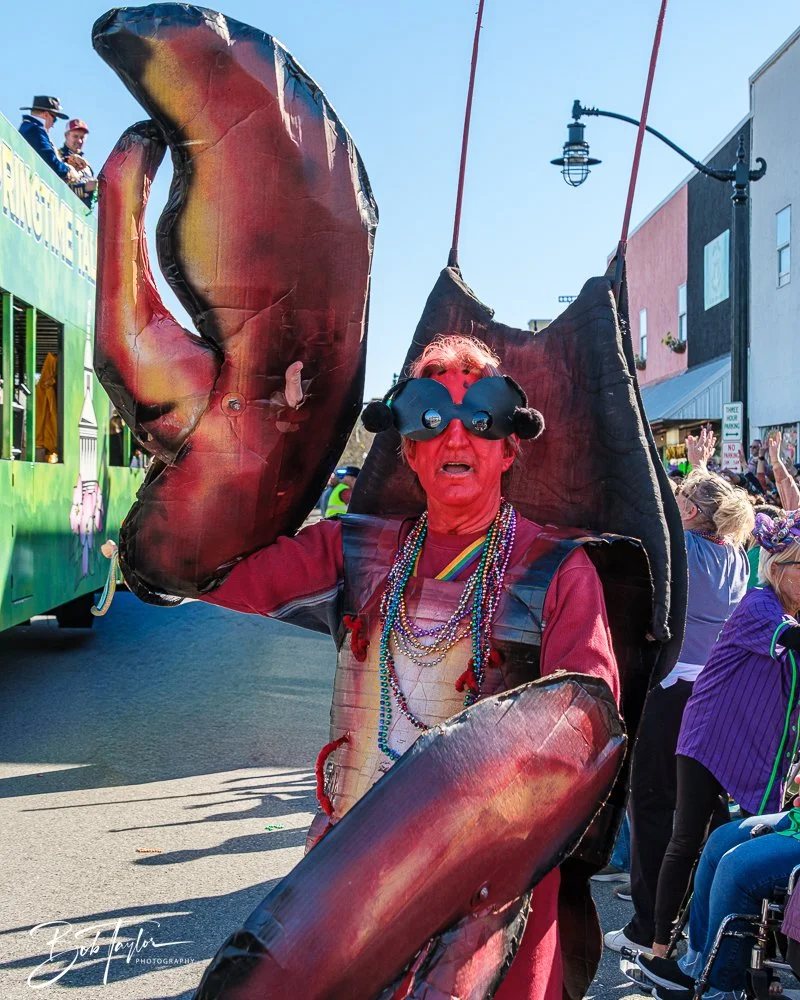 20260207-Mardi Gras Parade -104.jpg