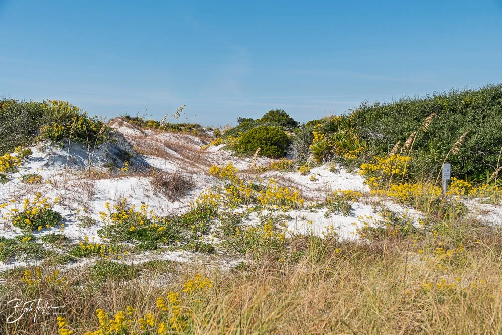 20251119-SASP Final -63.jpg