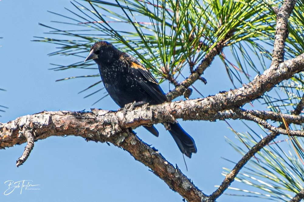 20251119-SASP Final -76.jpg