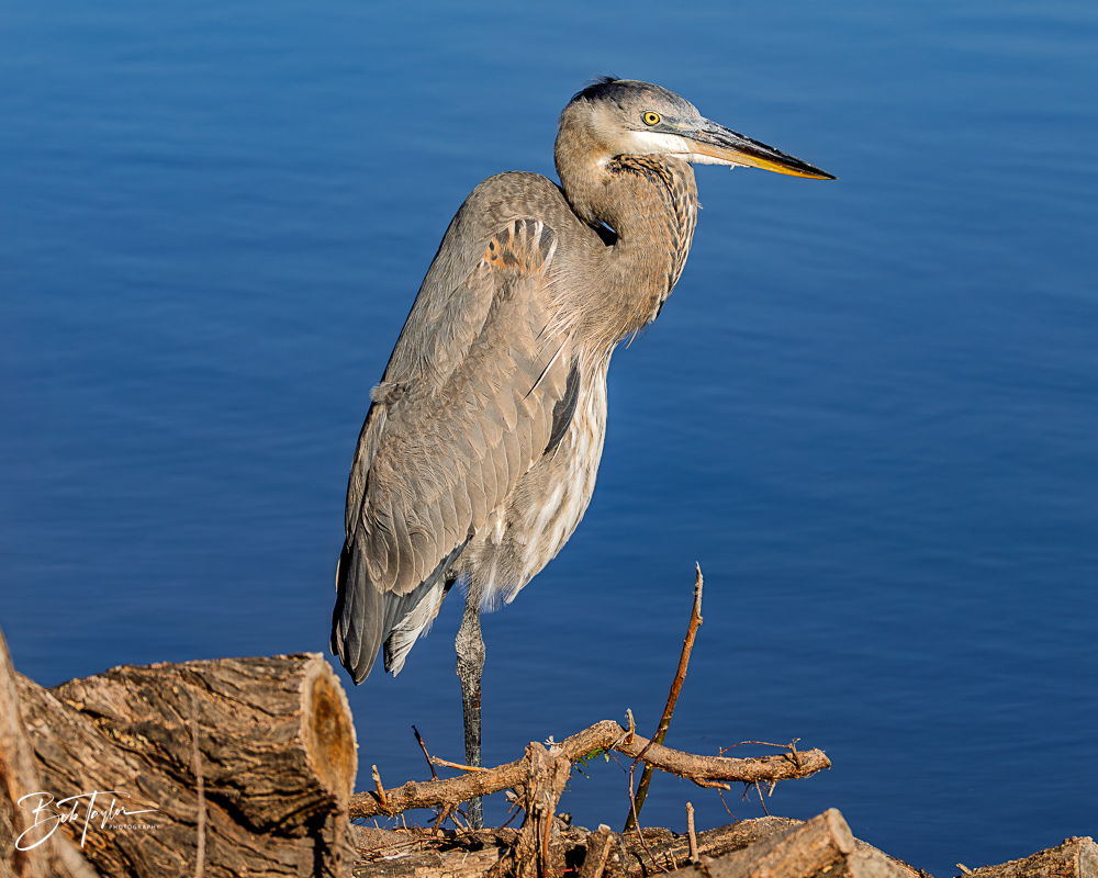 20260101-SASP -14.png