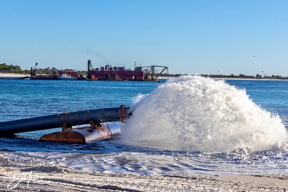 20241201-SASP -1641.jpg