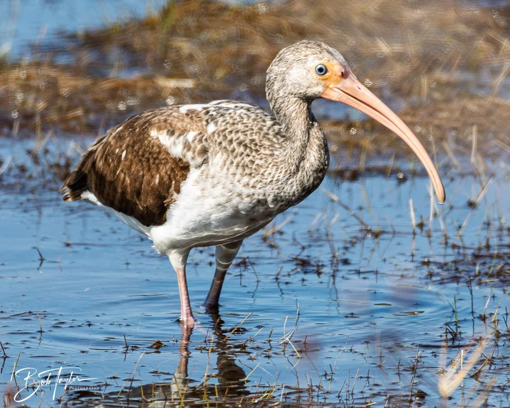 20260212-SASP -3.jpg