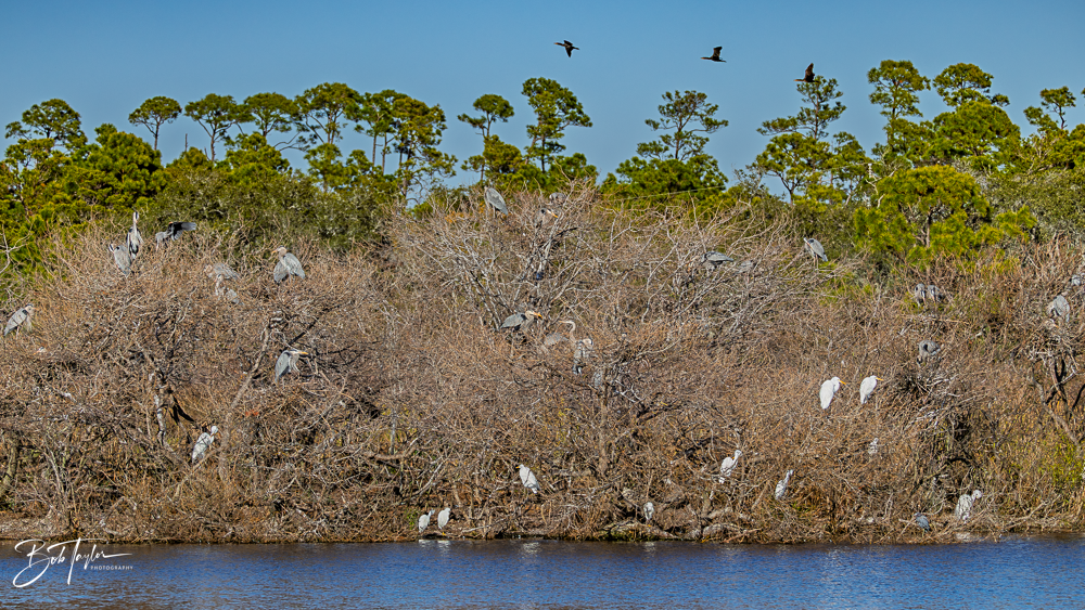 20260101-SASP -15.png