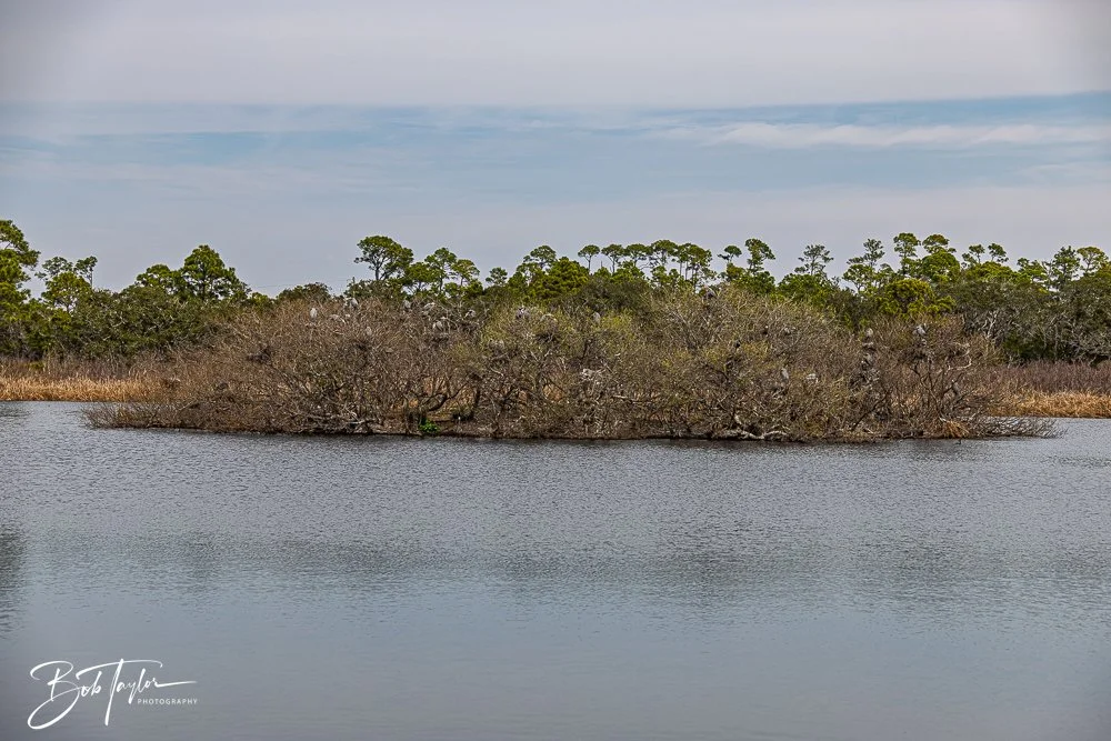 20260214-SASP Story -37.jpg