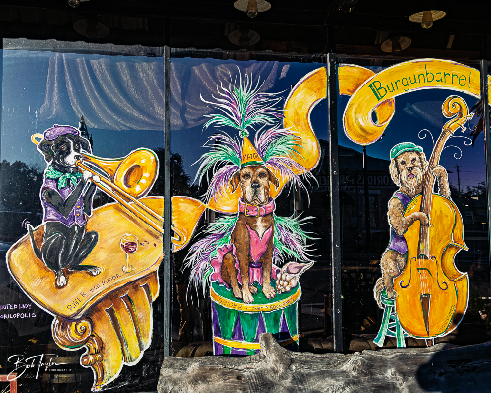 20260115-Mardi Gras Windows -11.png