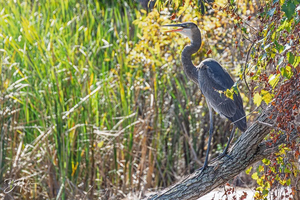 20251116-SASP One Day -56.jpg