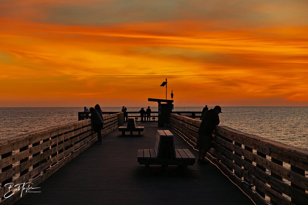 20251119-SASP Sunset -28.jpg