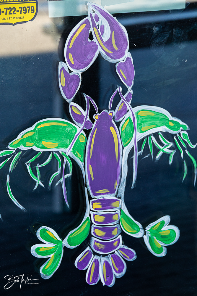 20260115-Mardi Gras Windows -68.png