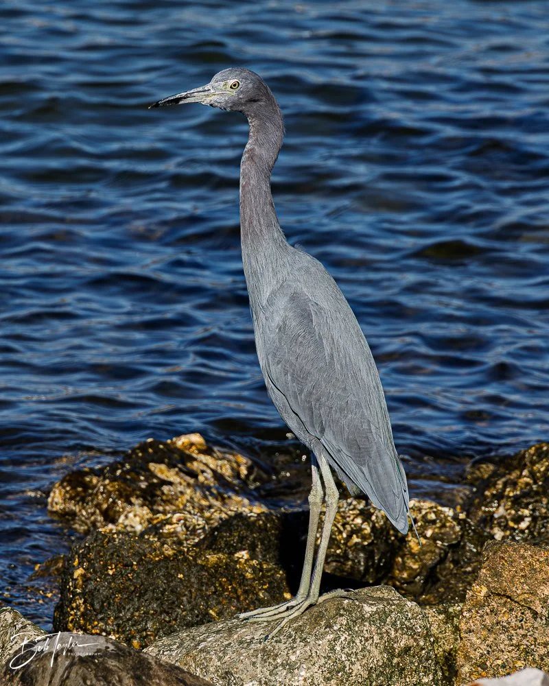 20251116-SASP One Day -5.jpg