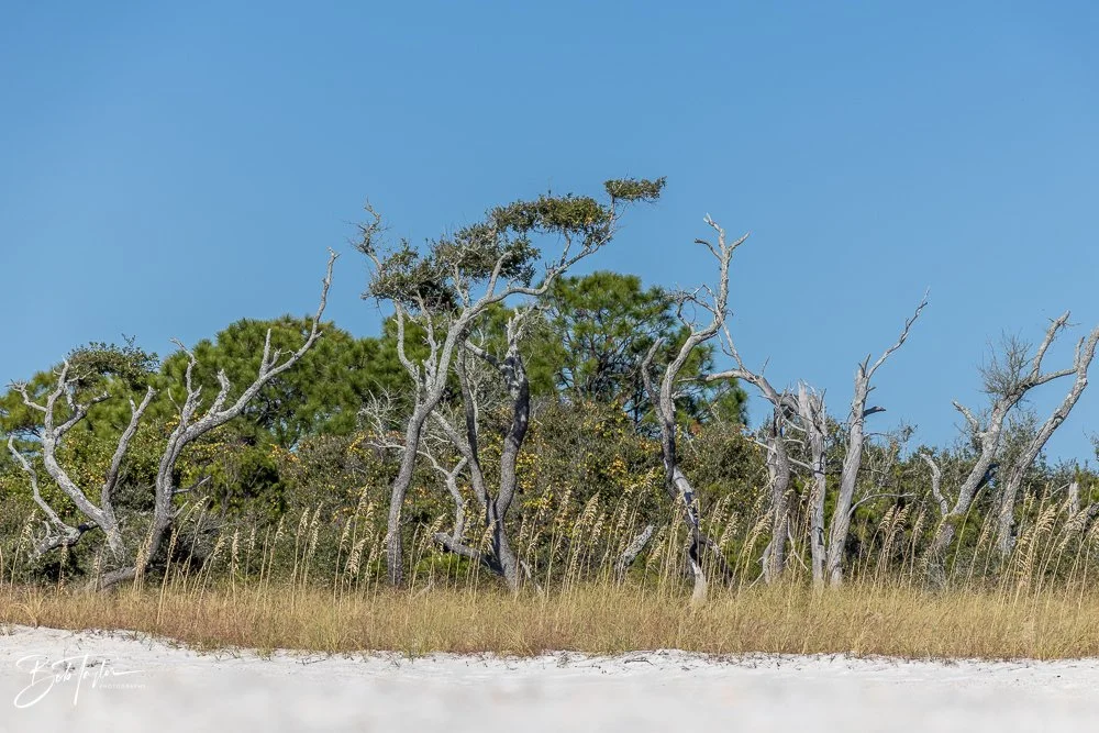 20251116-SASP One Day -18.jpg