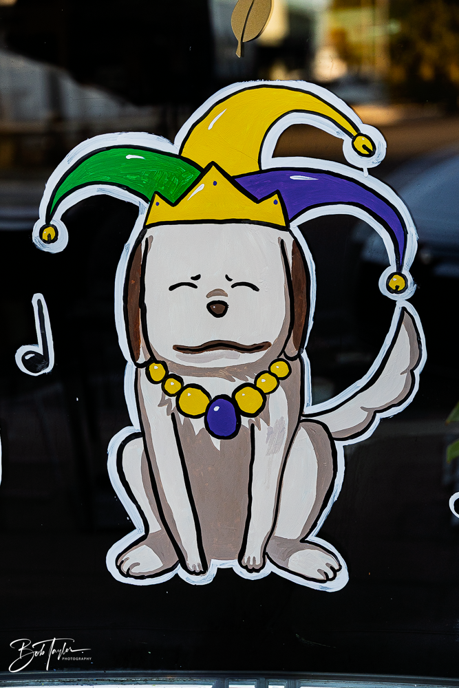 20260115-Mardi Gras Windows -4.png