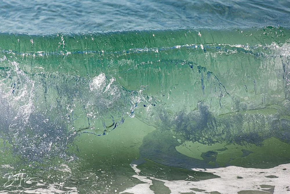 20251116-SASP One Day -14.jpg