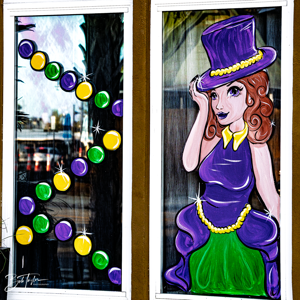 20260115-Mardi Gras Windows -3.png