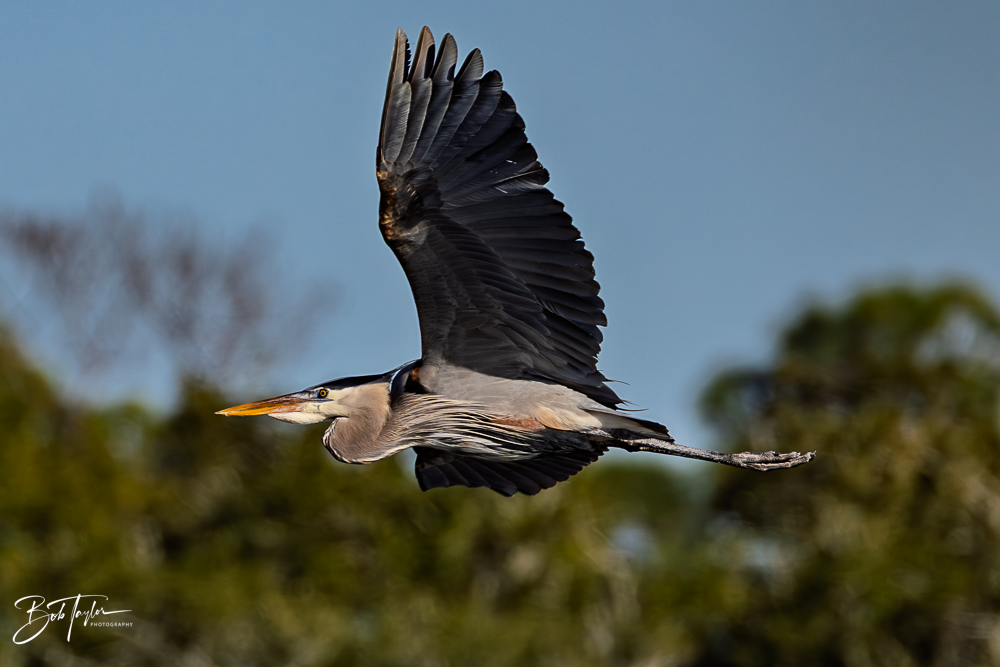 20260101-SASP -24.png