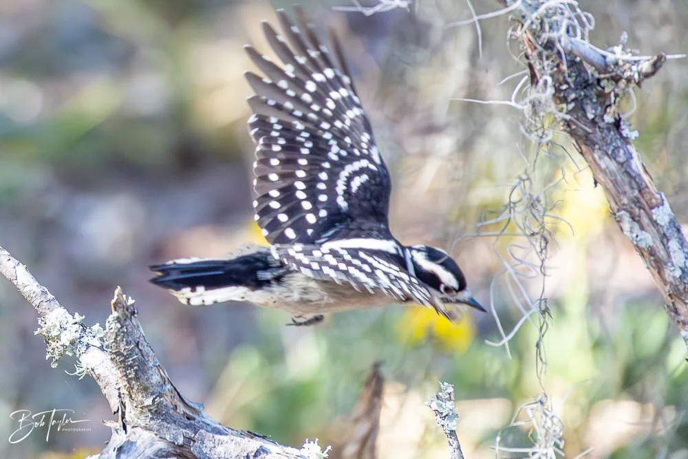 20251116-SASP One Day -53.jpg