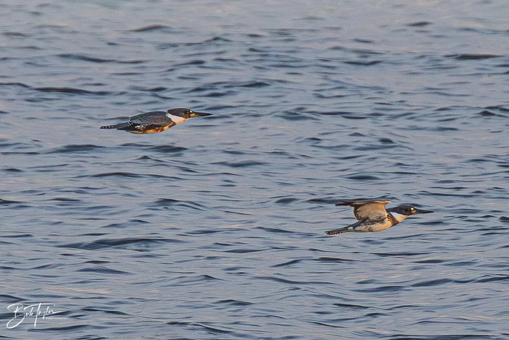 20251117-SASP Final -36.jpg