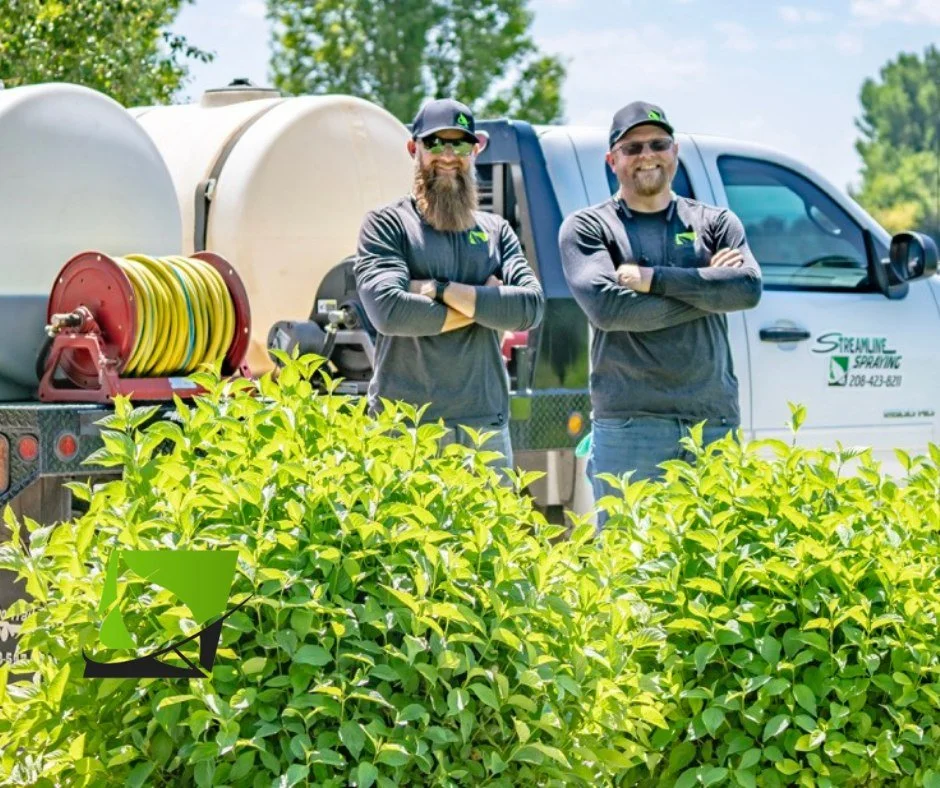 Streamline Case Study