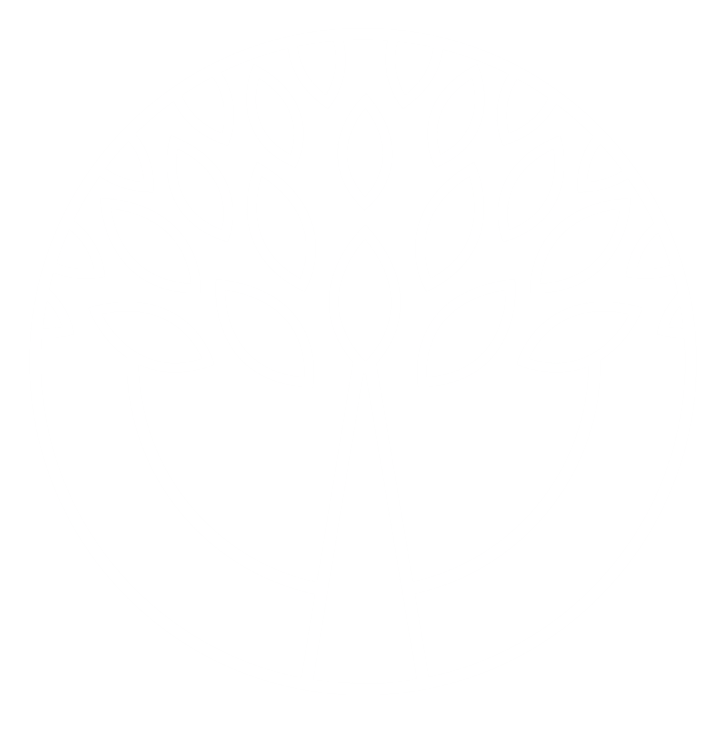 A black and white line drawing of a tree with symmetrical branches and leaves inside a circle.