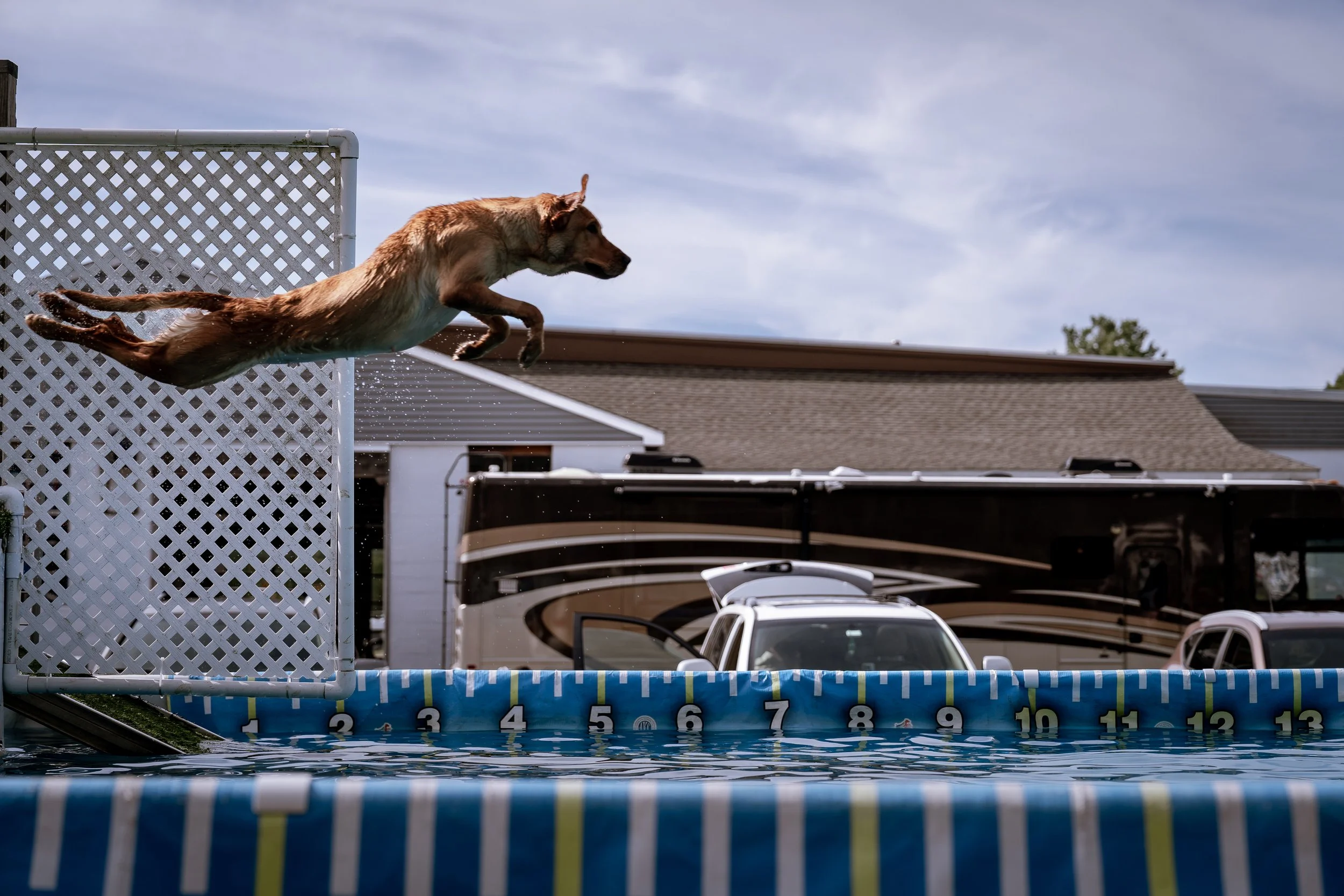 dock diving-07536.jpg