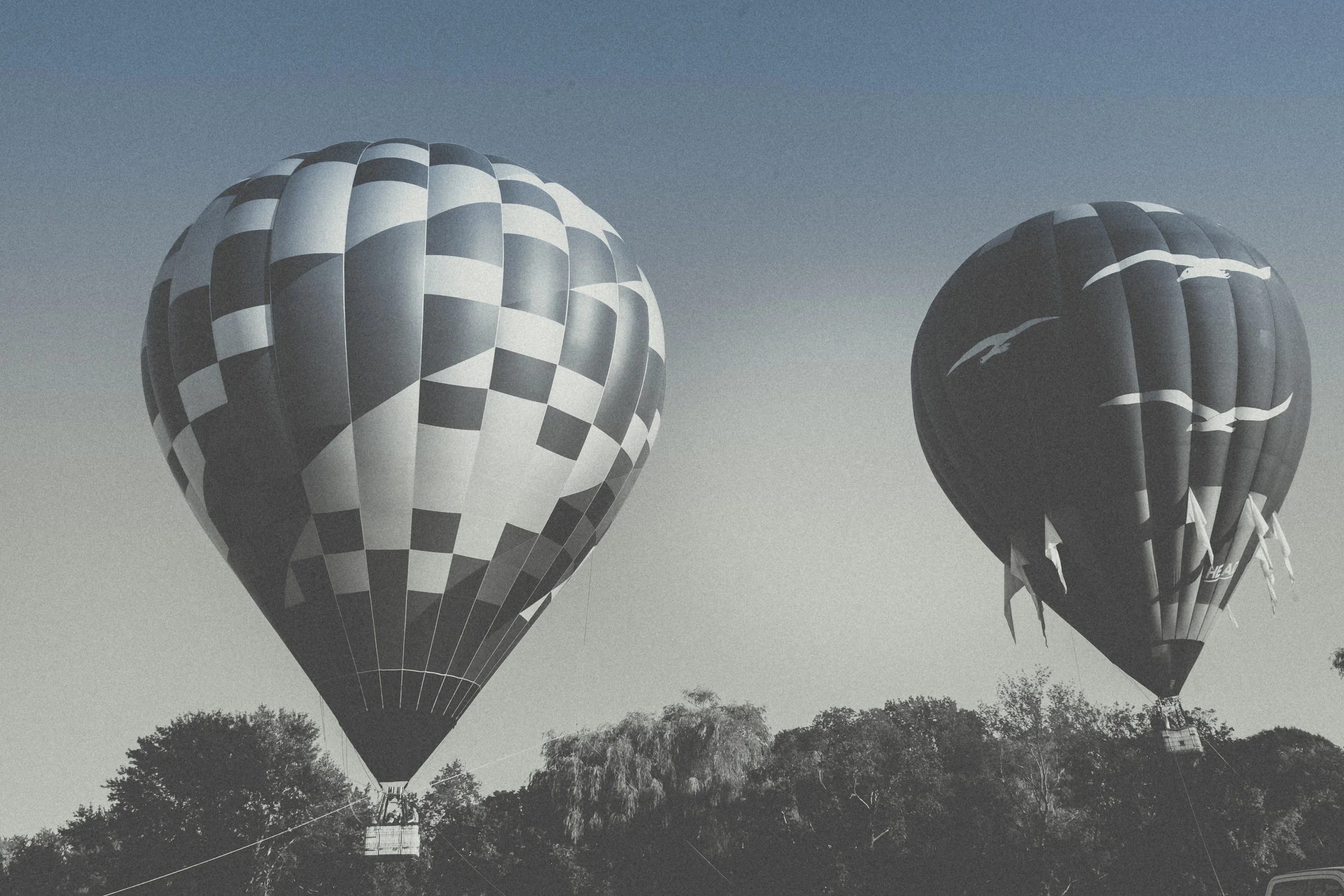 hot air balloon-03432.jpg
