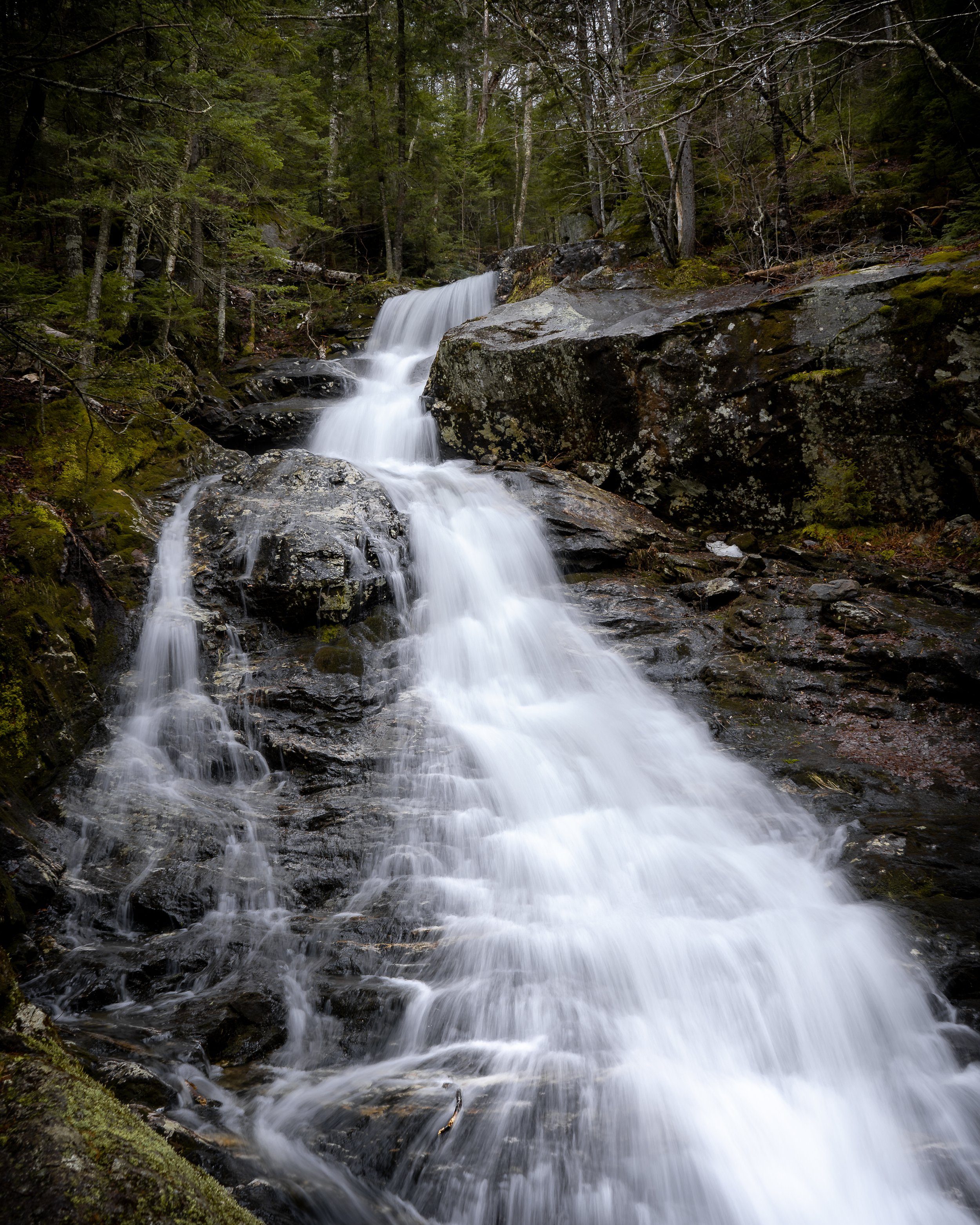 beaver brook-01202.jpg