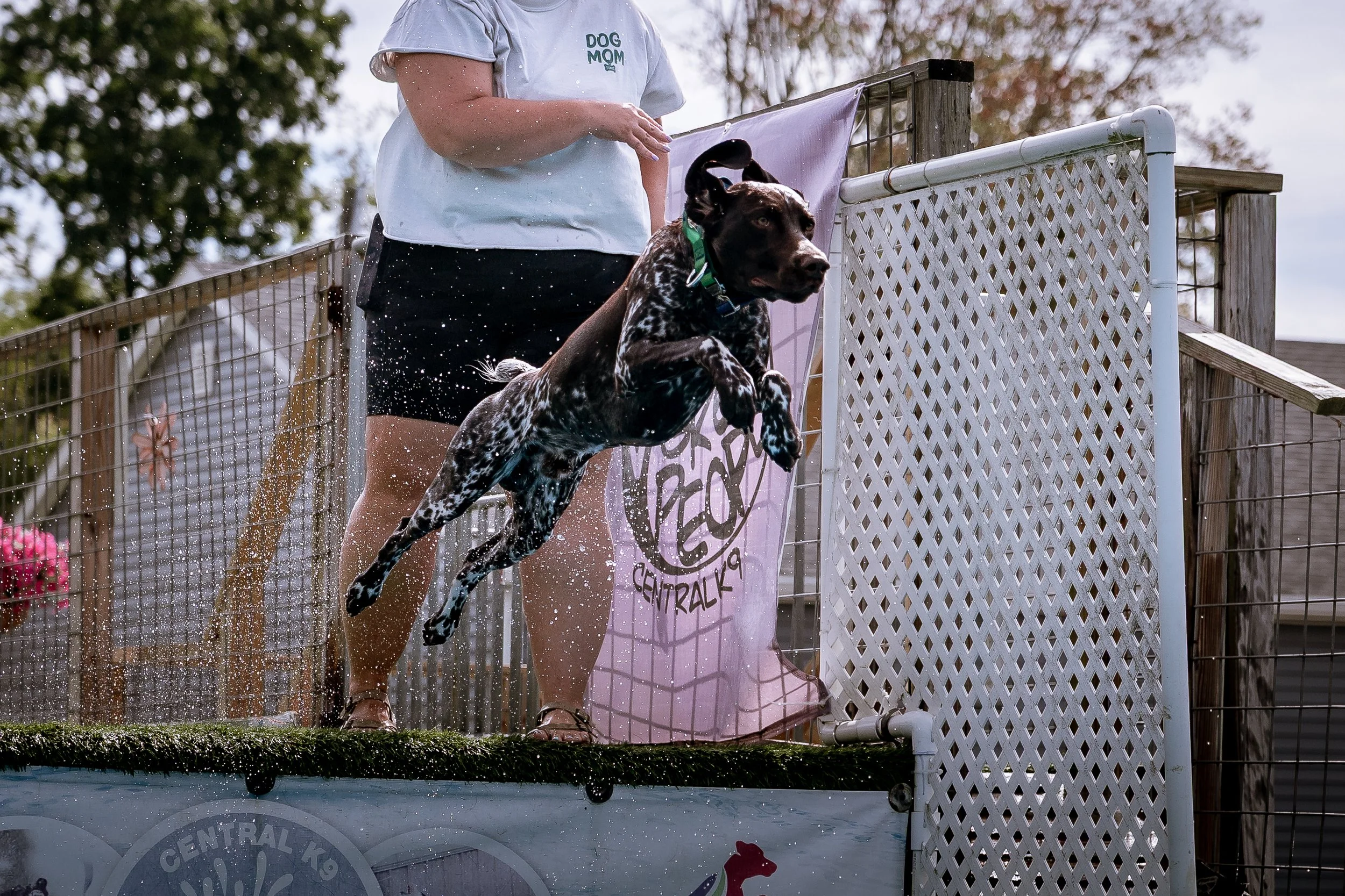 dock diving-07626.jpg