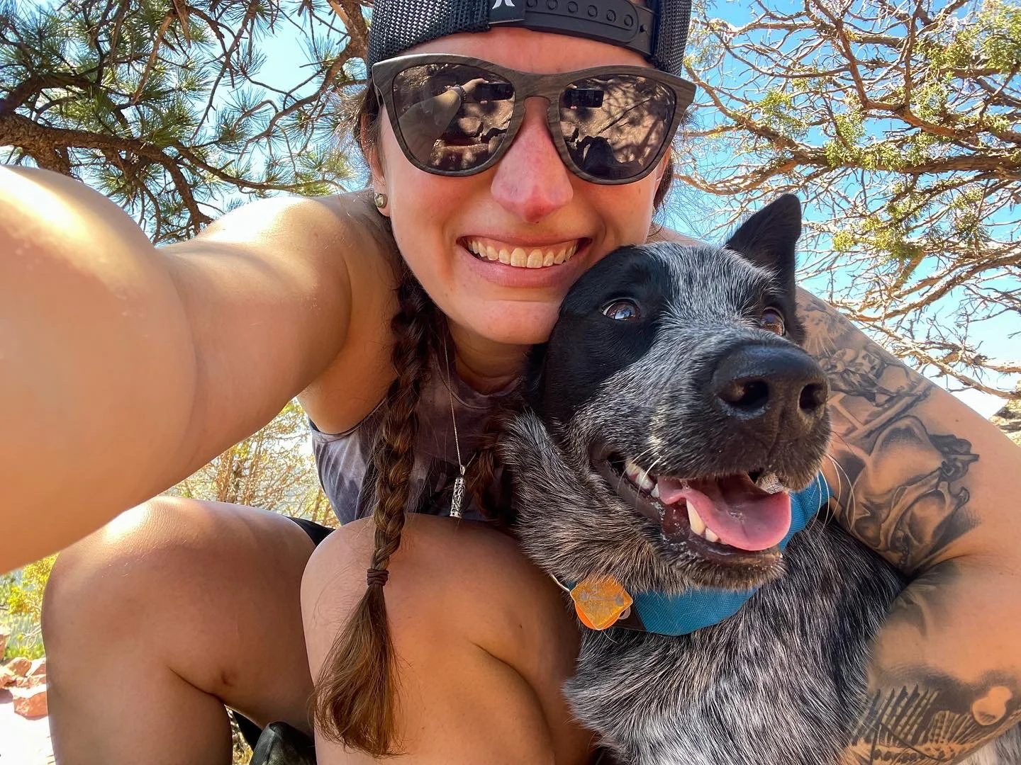 dog photographer in connecticut, pet photographer connecticut, pet photographer new england, dog photographer, k9 photographer, pet photographer, cat photographer