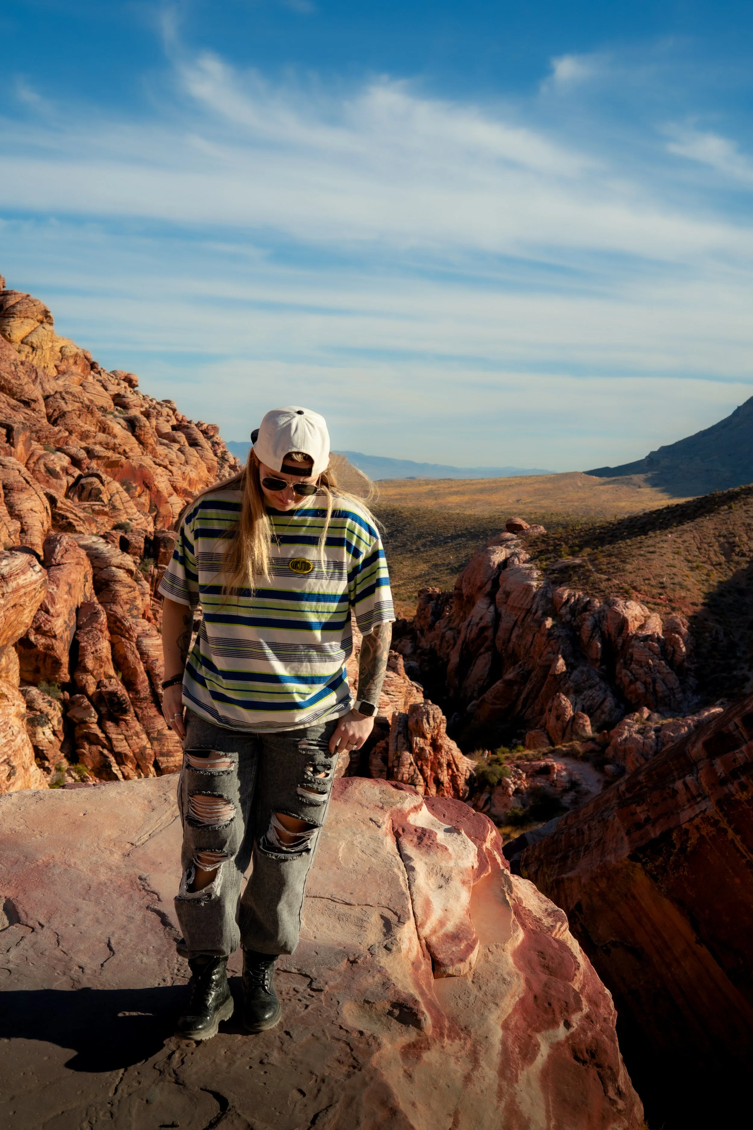 pet photographer connecticut, pet photographer new england, dog photographer, k9 photographer, pet photographer, cat photographer