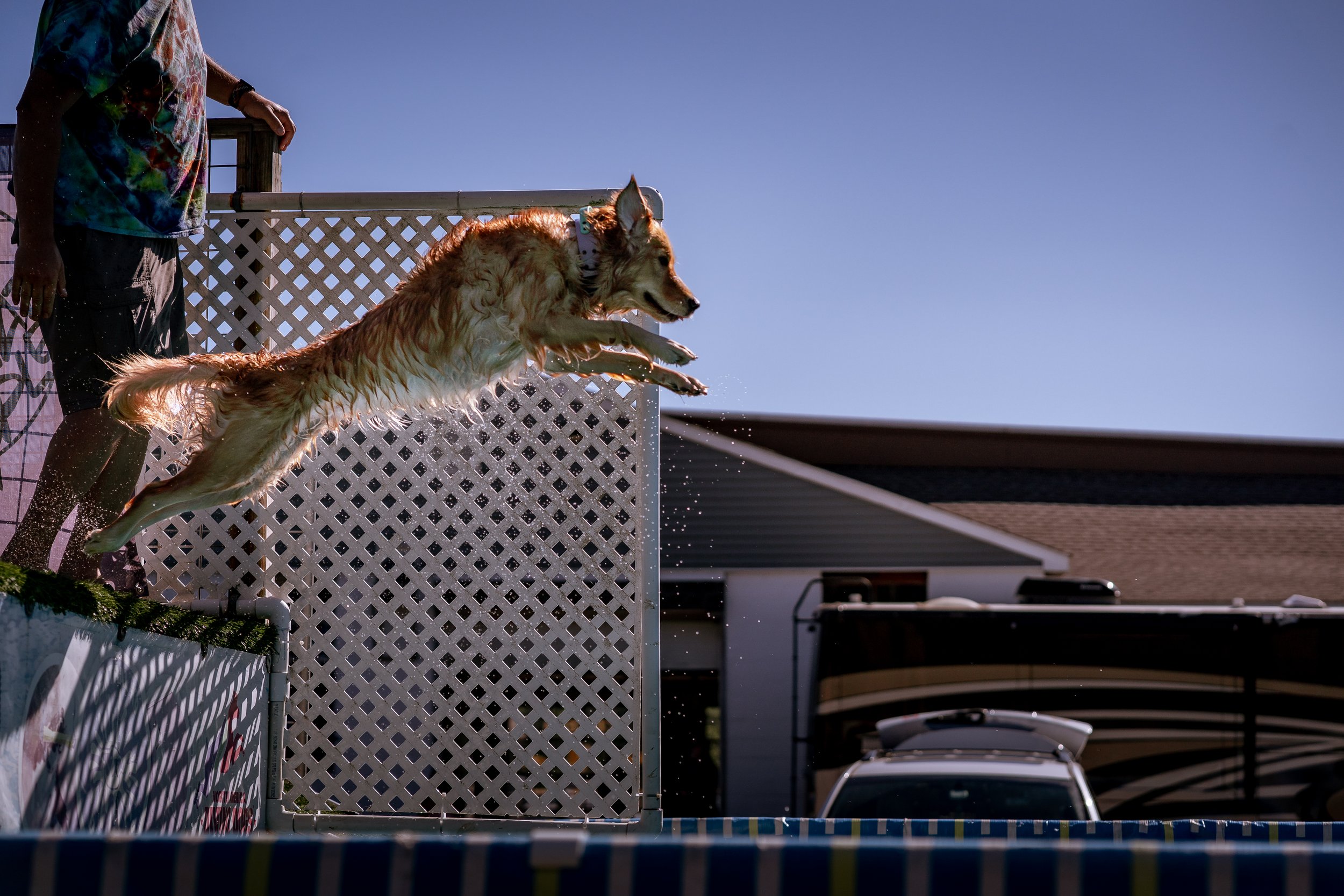 dock diving-07078.jpg