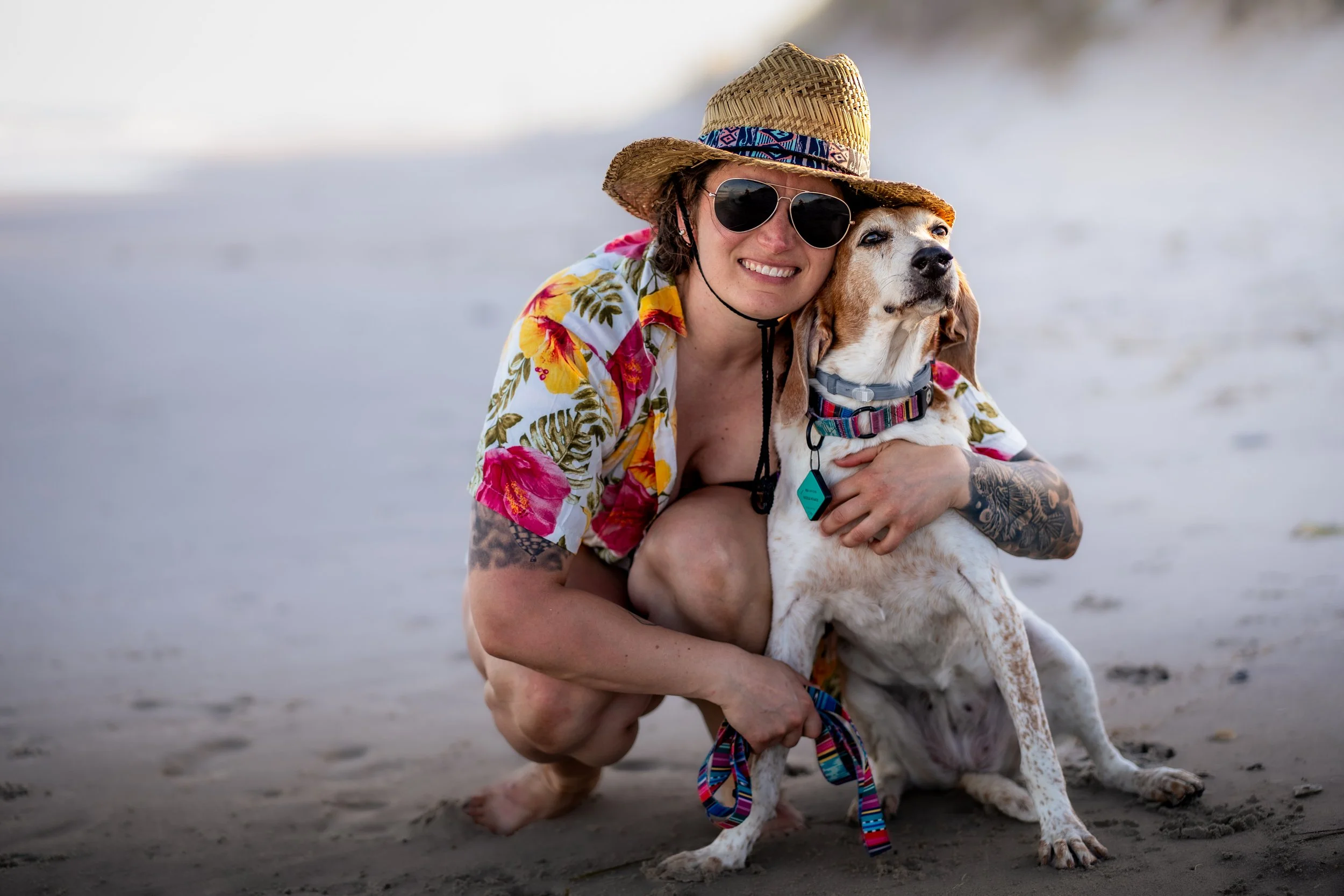 pet photographer connecticut, pet photographer new england, dog photographer, k9 photographer, pet photographer, cat photographer