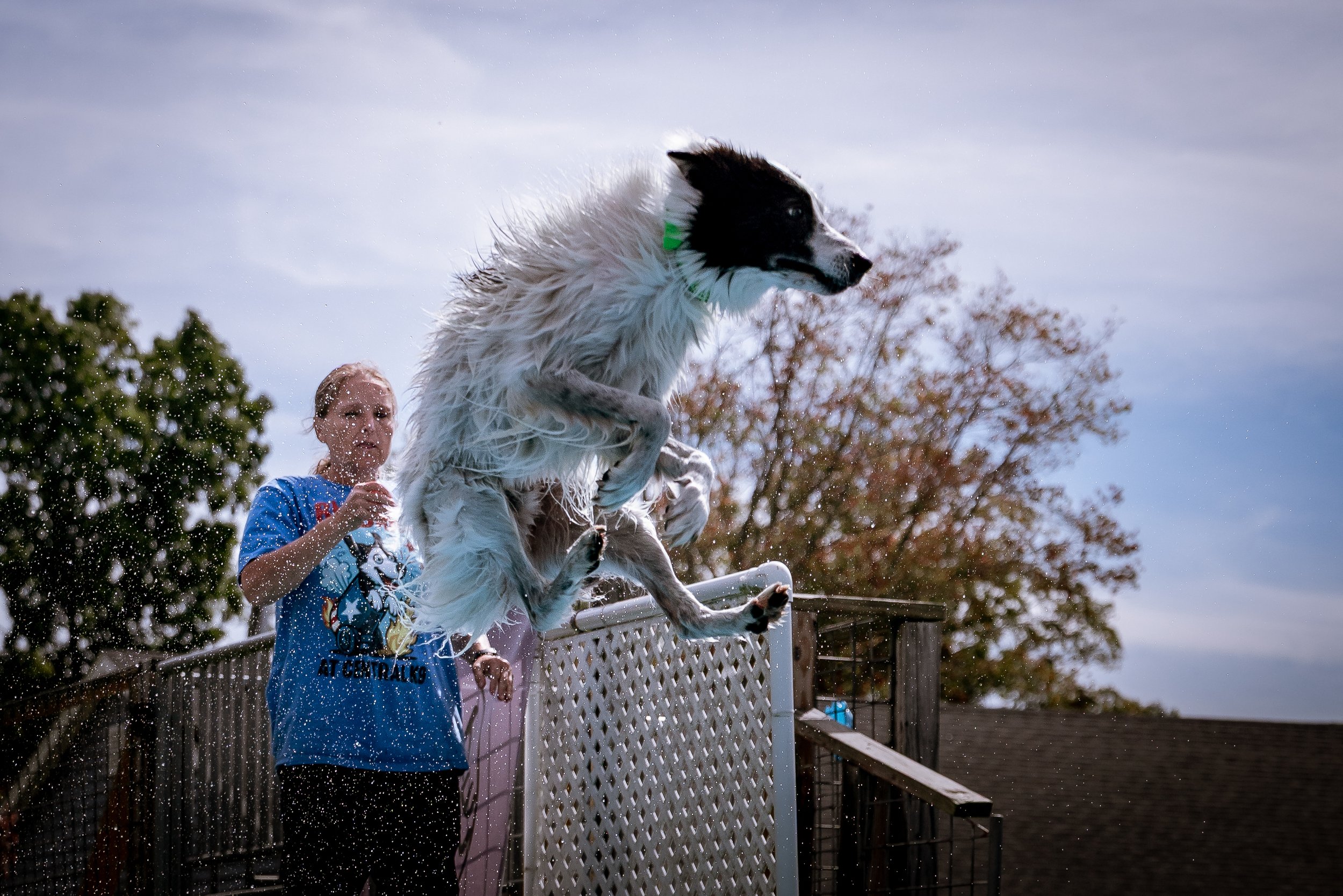 dock diving-07860.jpg