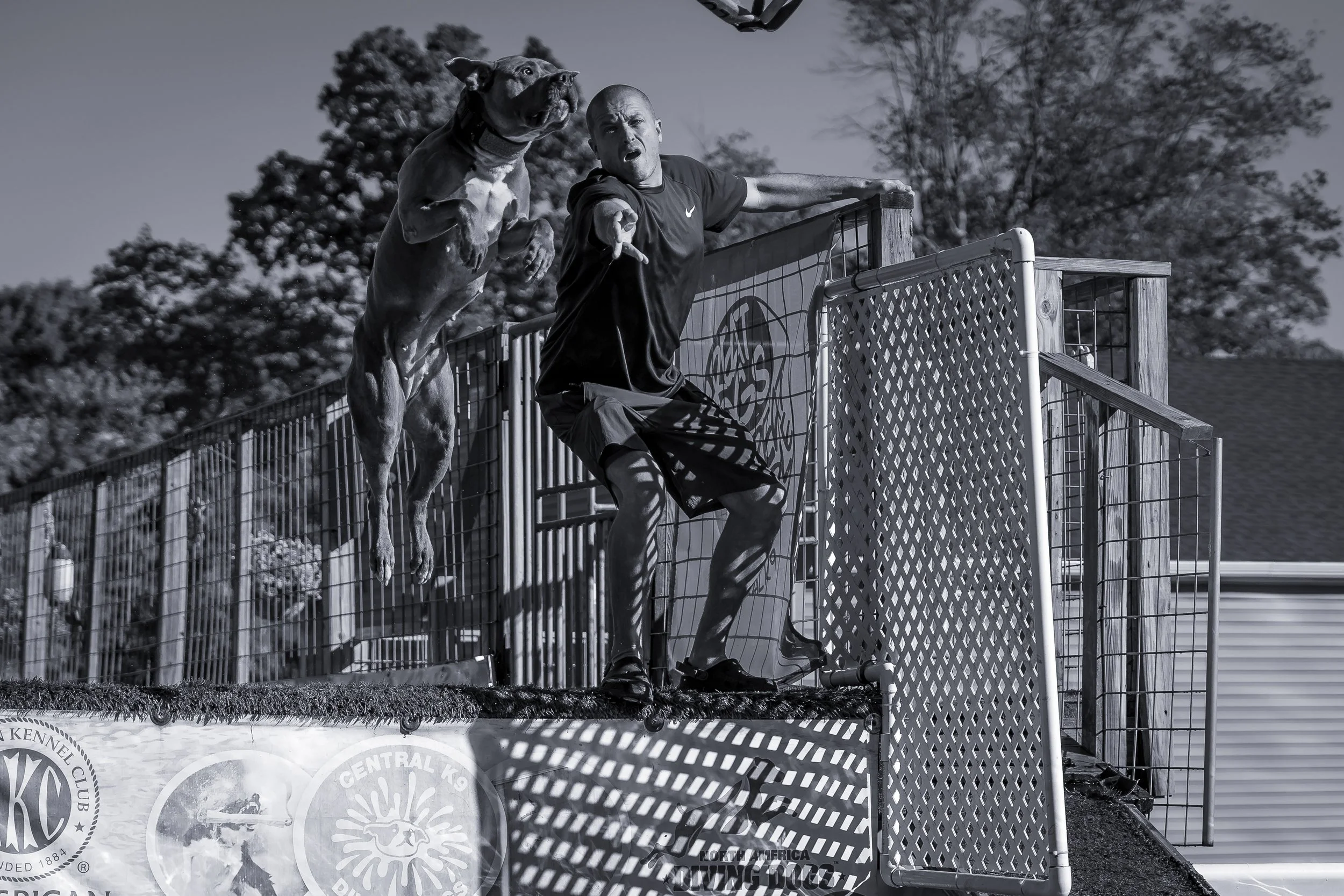 dock diving-07359.jpg