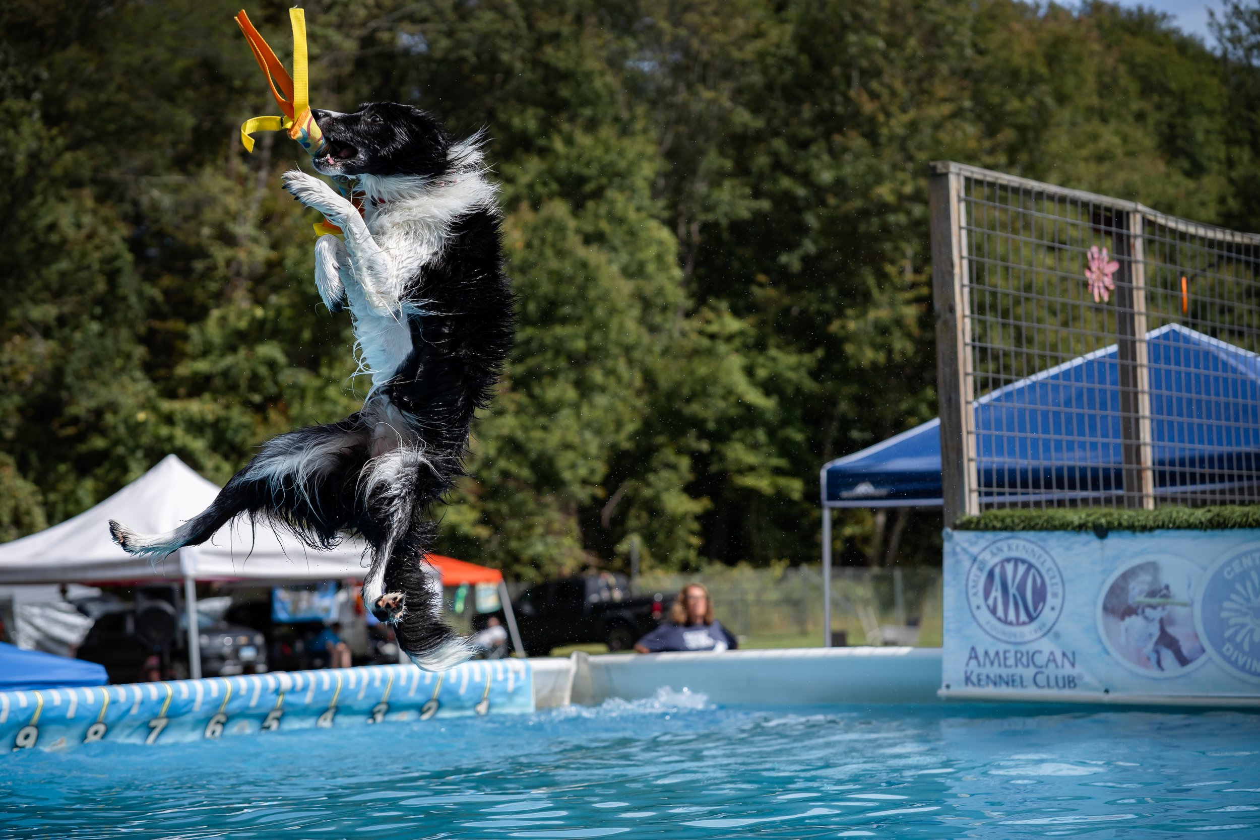 dock diving-08548.jpg