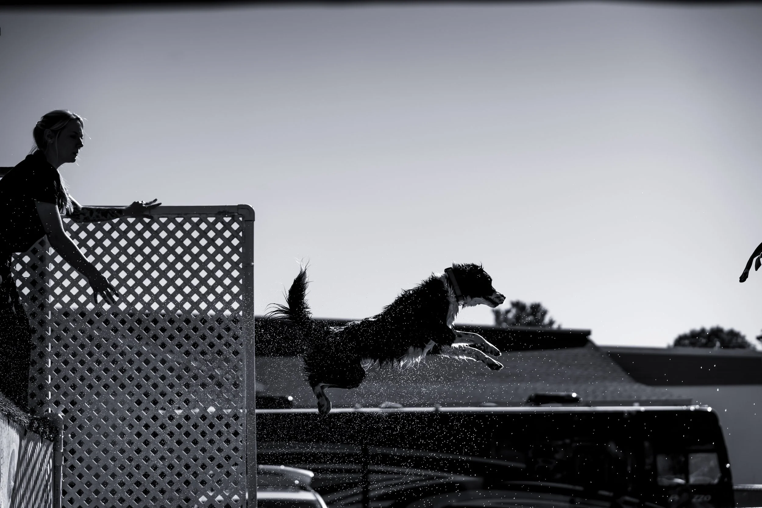 dock diving-07095.jpg