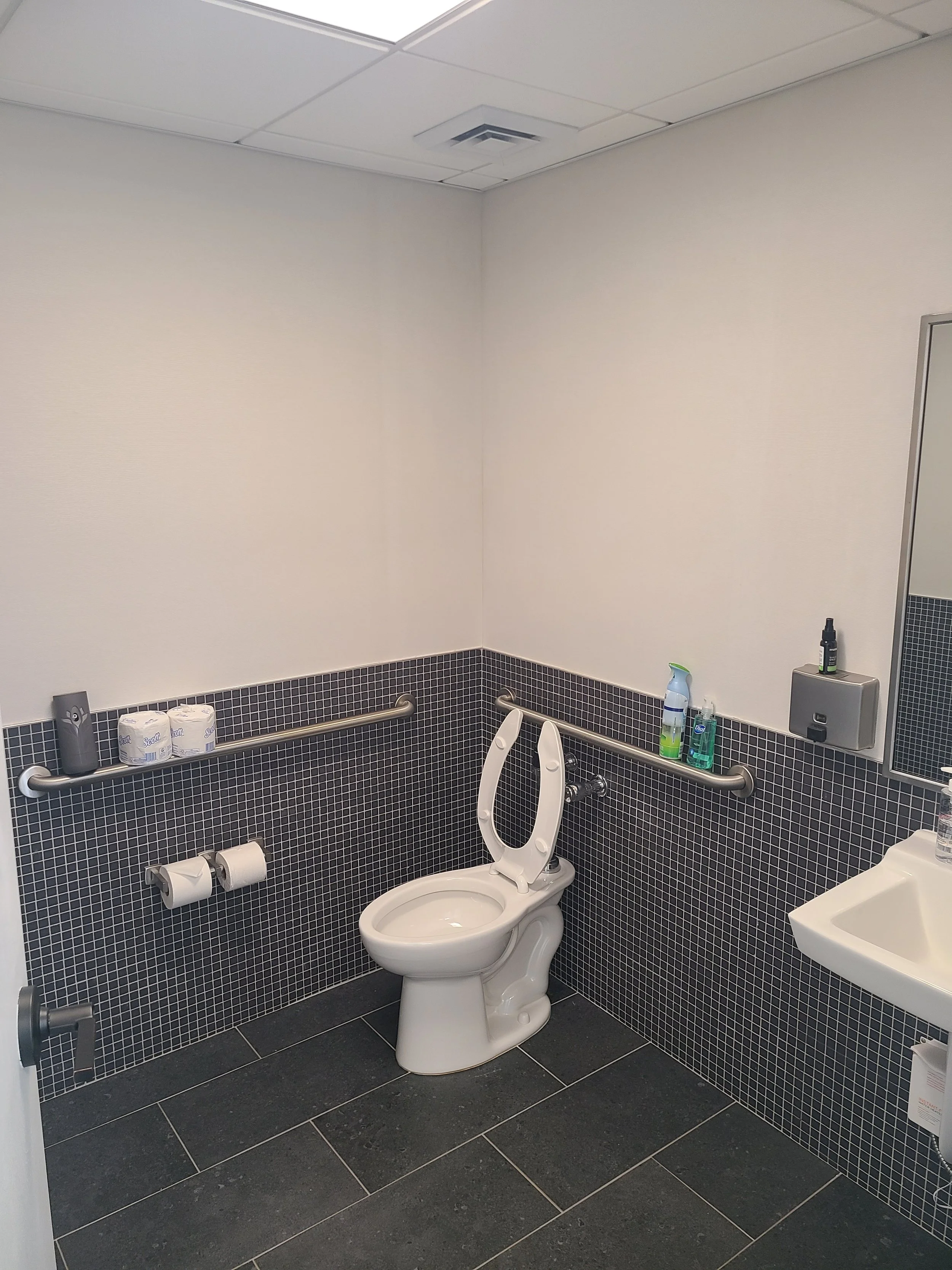 Remodel ADA restroom to client specified finish