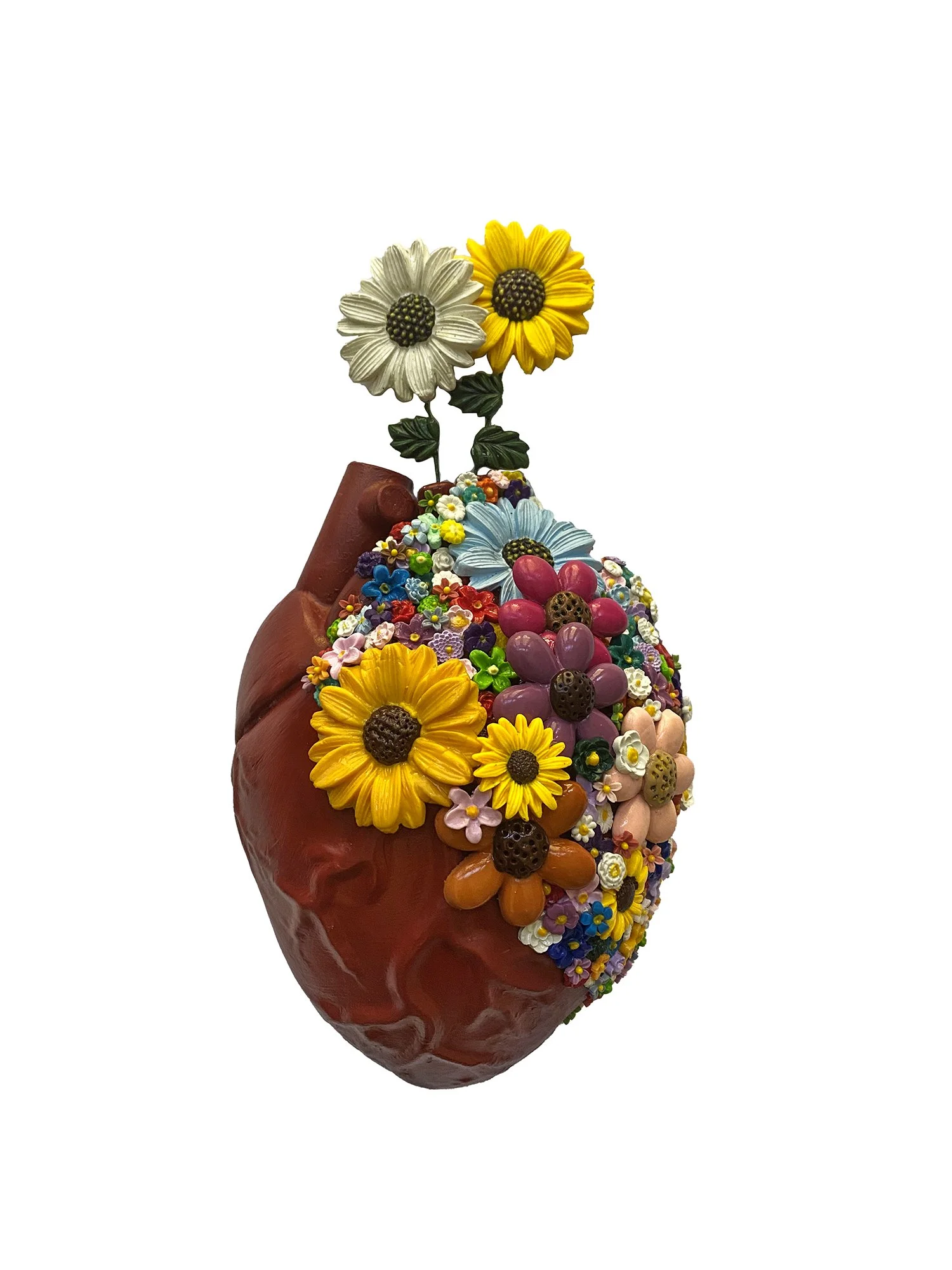 A heart.jpg
