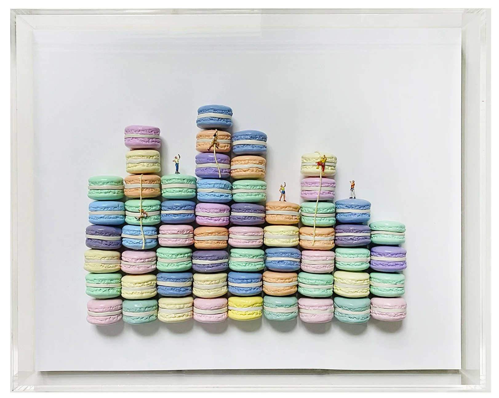 Macrons climbers.jpg