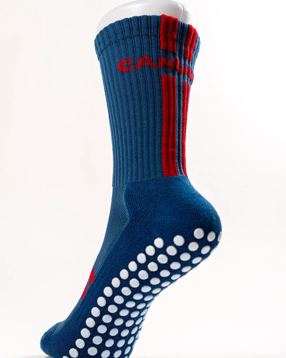PGZ_custom_05_Canucks.jpg