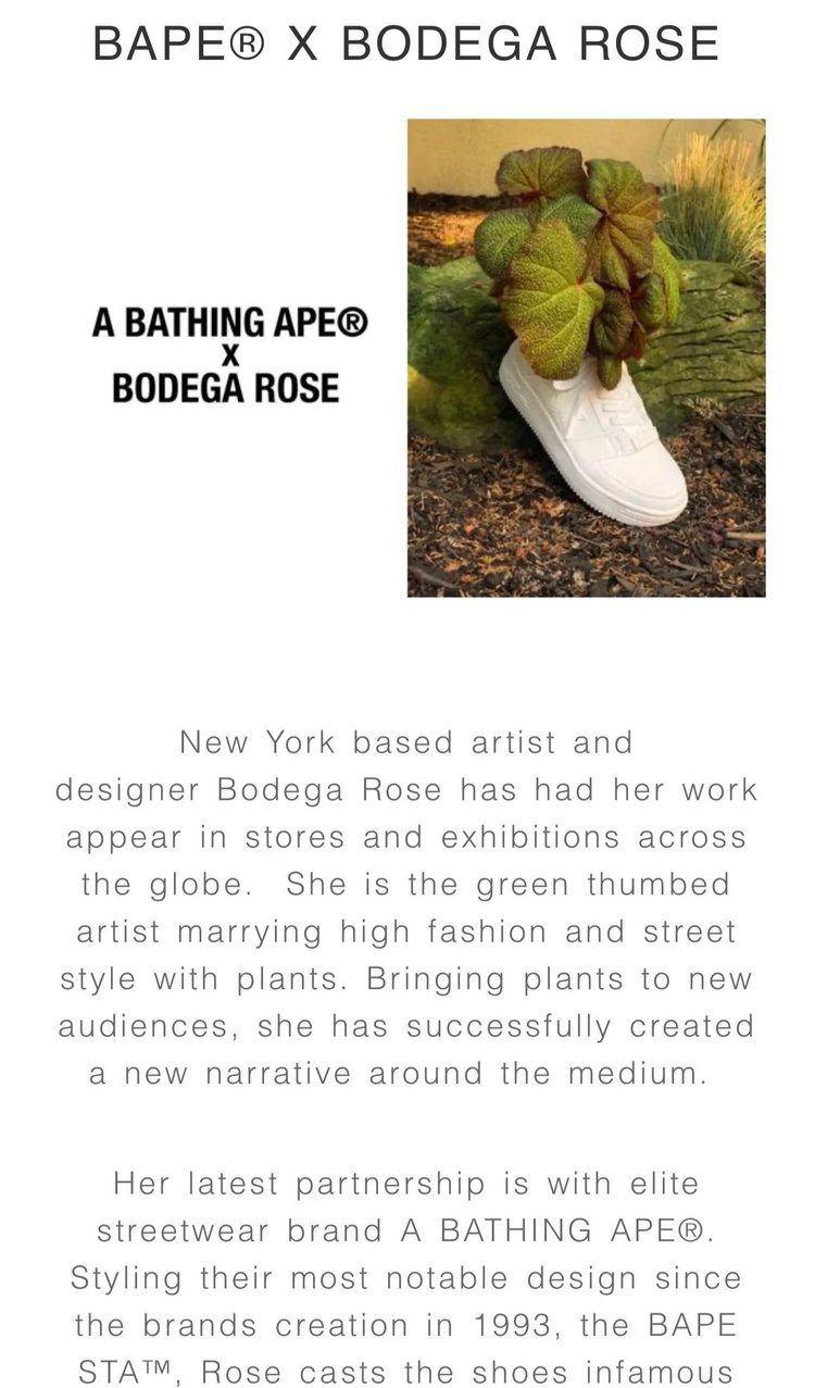 BAPE x Bodega Rose collaboration campaign image with the sneaker planter outdoors