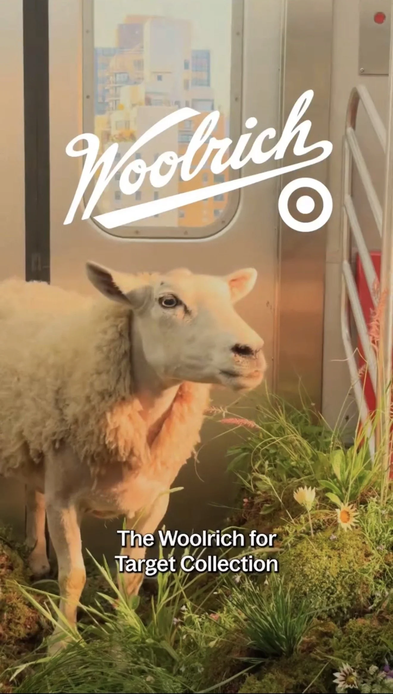 A sheep standing inside a store near an elevator door with a Target sign overlay and caption "The Woolrich for Target Collection," surrounded by plants and flowers.