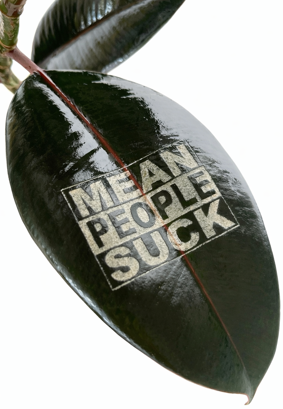 A dark green, glossy leaf with the words 'MEAT PEOPLE SUCK' stamped on it in bold, uppercase letters.