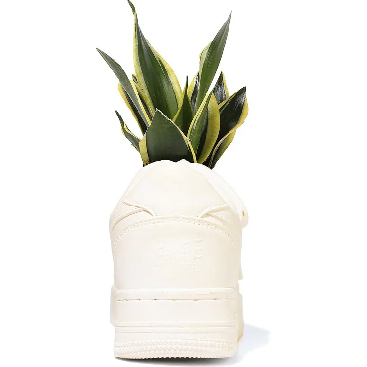 BAPE STA ceramic sneaker planter with a pineapple plant growing out of it