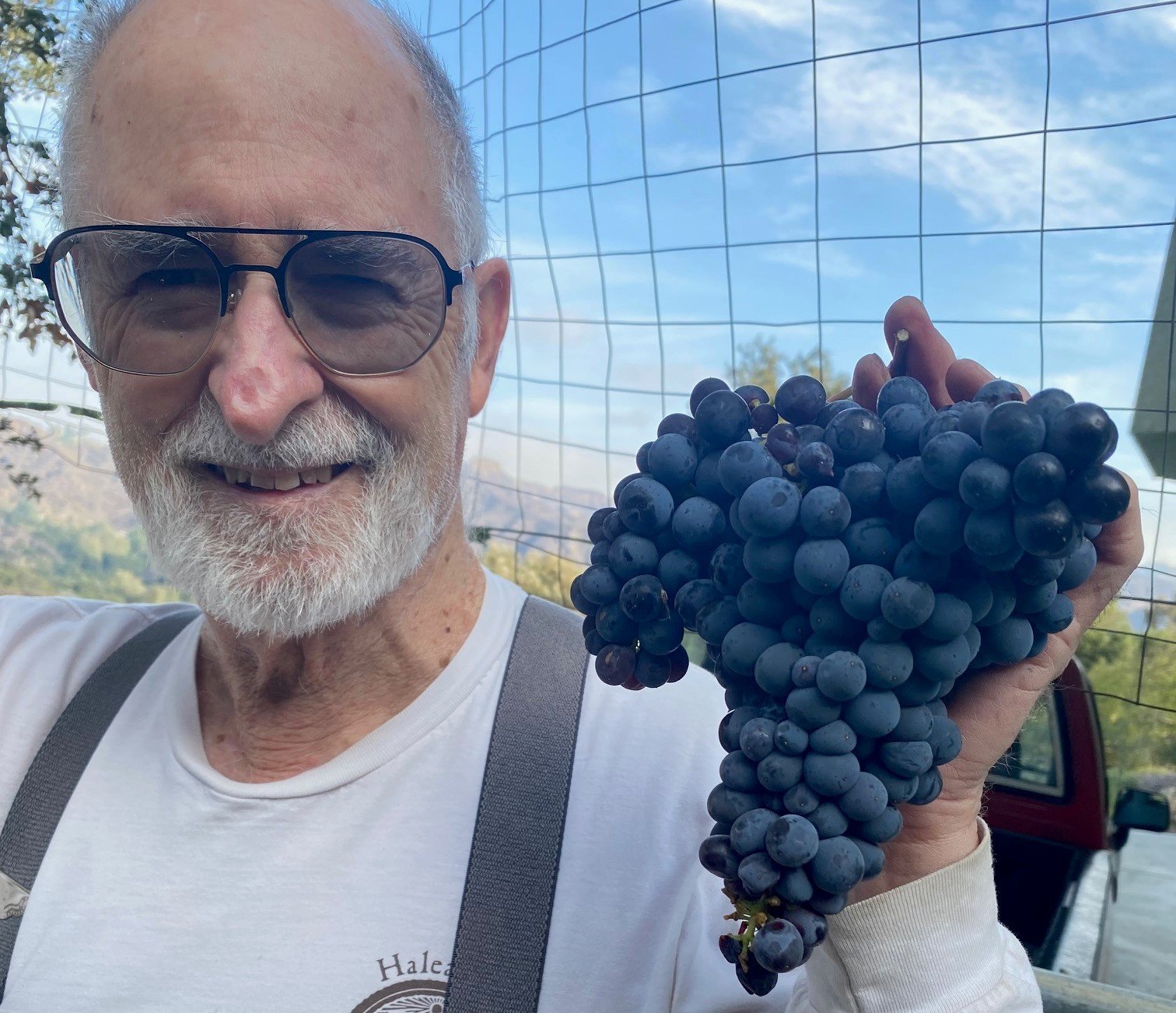 An older man with white hair and beard, wearing glasses and a white shirt, is smiling and holding a large bunch of dark purple grapes.